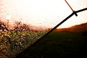 Filename=3.jpg
Filesize=703KiB
Dimensions=1024x685
Date added=Oct 26, 2011 3.jpg