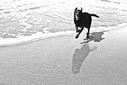 Filename=5.jpg
Filesize=811KiB
Dimensions=2047x1370
Date added=Oct 26, 2011 5.jpg