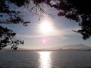 Filename=100_0219.jpg
Filesize=48KiB
Dimensions=360x270
Date added=Sep 06, 2011 100_0219.jpg
