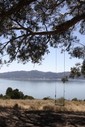 Filename=Hippie_Tree.jpg
Filesize=26KiB
Dimensions=184x275
Date added=Sep 14, 2011 Hippie_Tree.jpg