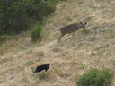Filename=034.JPG
Filesize=907KiB
Dimensions=2048x1536
Date added=Oct 10, 2011 034.JPG