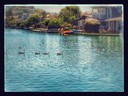 Filename=20140726_111152-EFFECTS.jpg
Filesize=582KiB
Dimensions=2048x1536
Date added=Sep 20, 2016 20140726_111152-EFFECTS.jpg