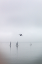 Filename=IMG_3767.PNG
Filesize=758KiB
Dimensions=640x960
Date added=Oct 31, 2016 IMG_3767.PNG