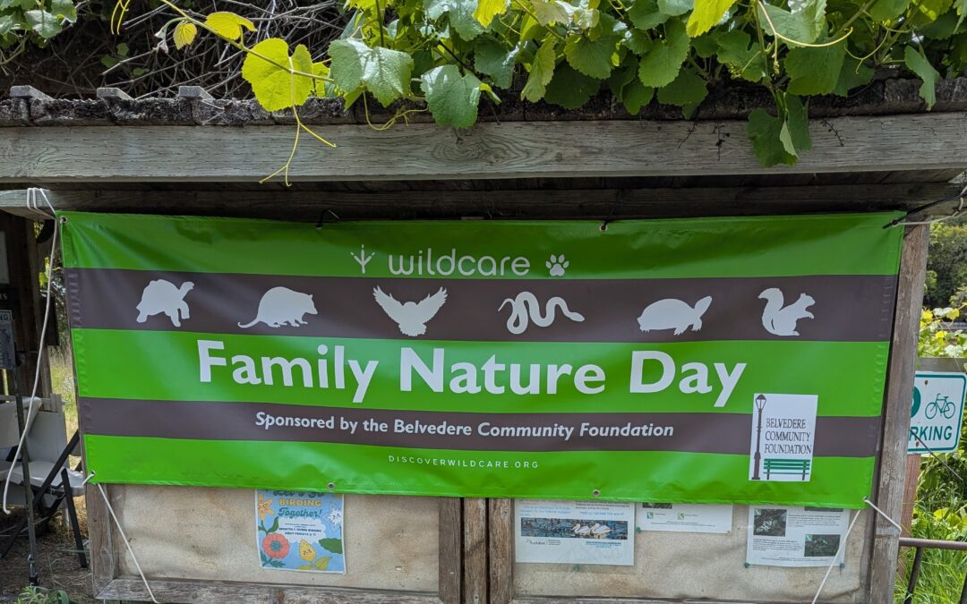BCF Partners with WildCare at Family Nature Day